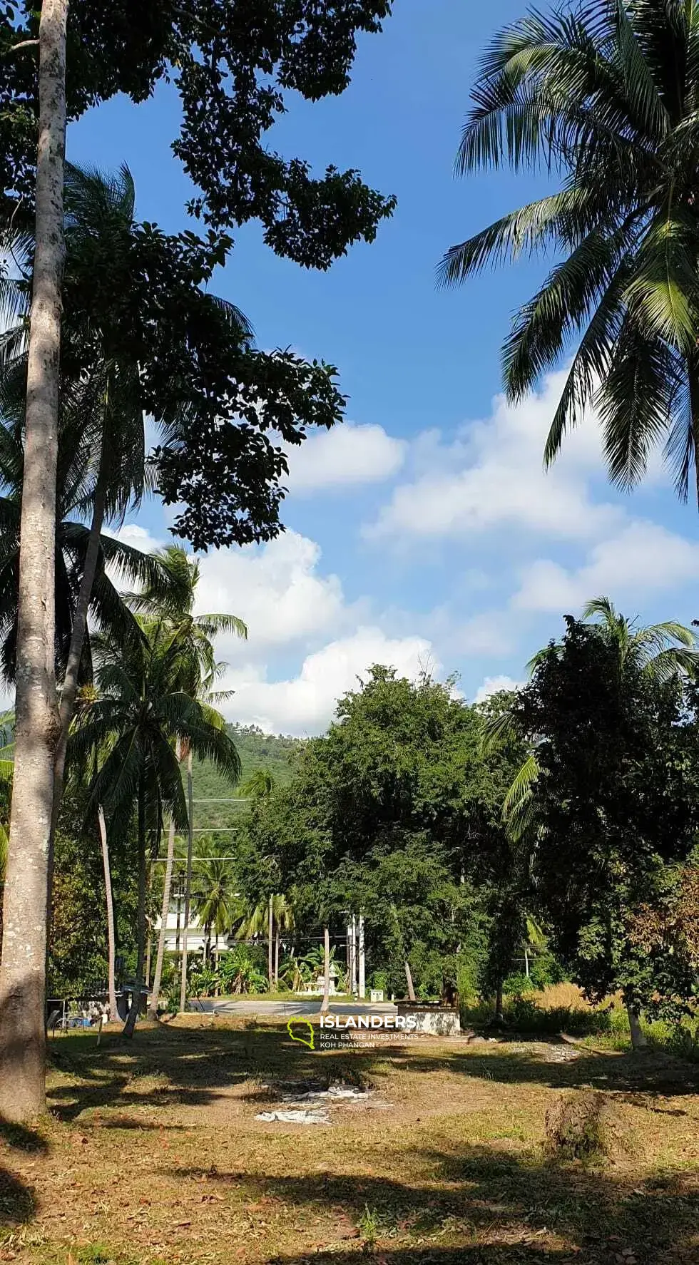 1 Rai Land zum Verkauf in Thong Krut