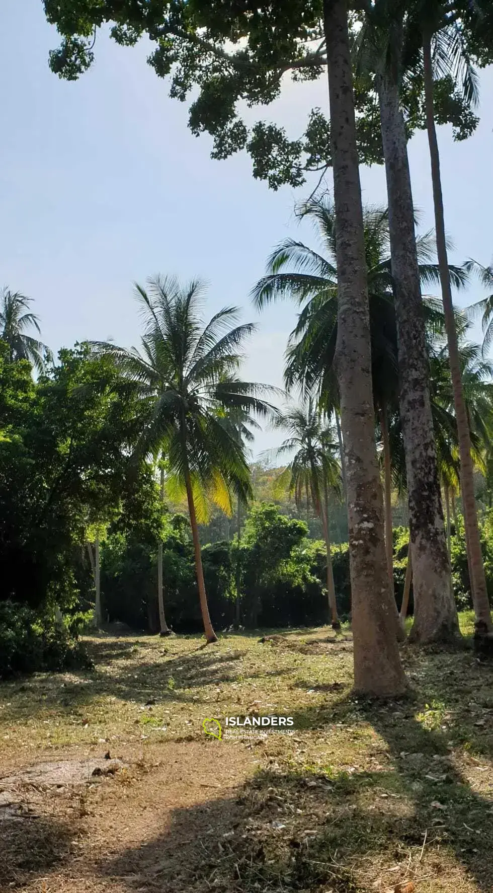 1 Rai Land zum Verkauf in Thong Krut