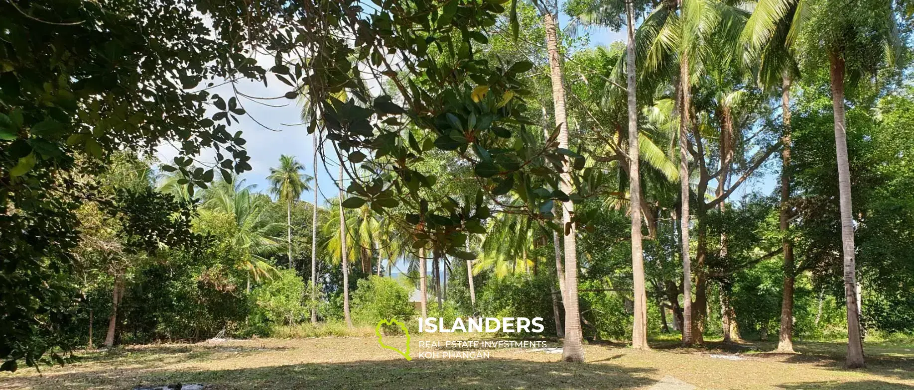 Nice land for sale in Lipa Noi 