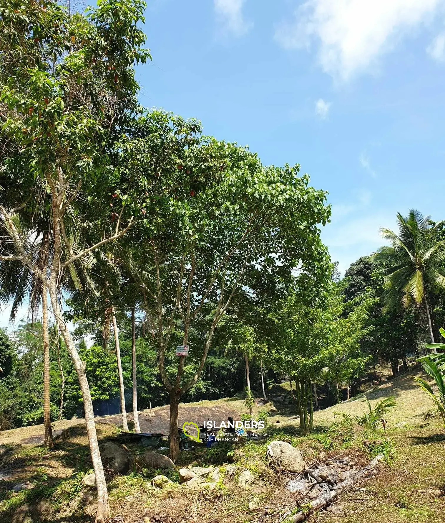 Nice Plot for Sale in Maenam 