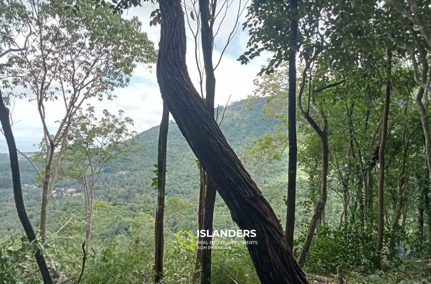 Vue dégagée à Lipa Noi Kao Paeng