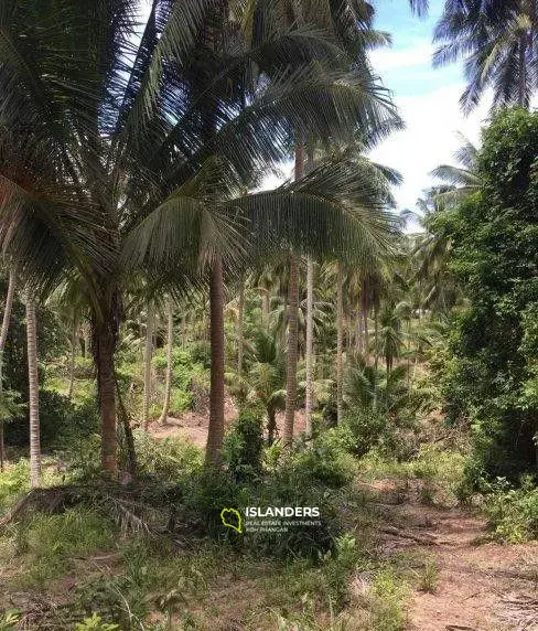 Terrain à vendre fermé au Santiburi Country Club