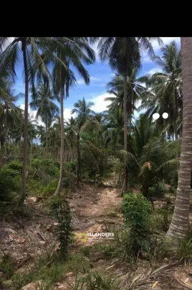 Terrain à vendre fermé au Santiburi Country Club