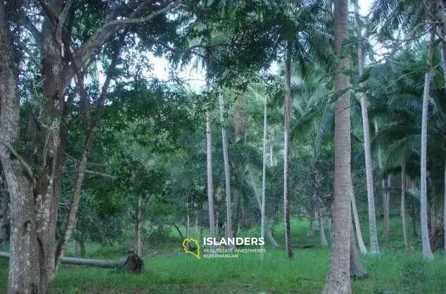 Terrain avec vue sur la nature à vendre à Mae Nam