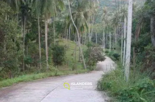 Terrain avec vue sur la nature à vendre à Mae Nam