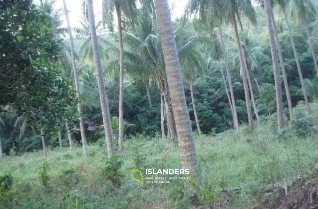 Grundstück mit Naturblick zum Verkauf in Mae Nam