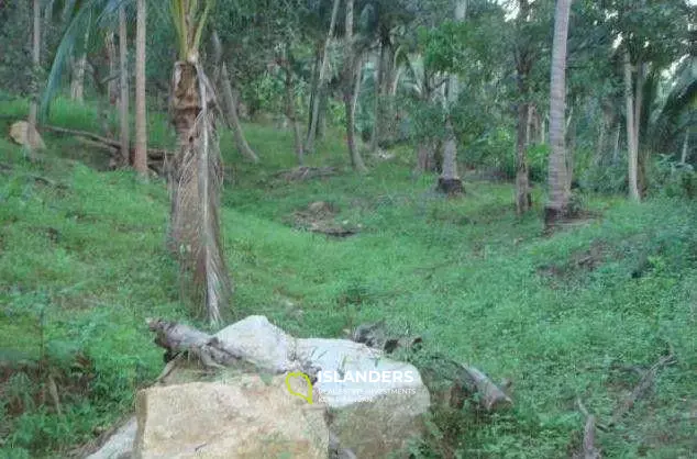 Terrain avec vue sur la nature à vendre à Mae Nam