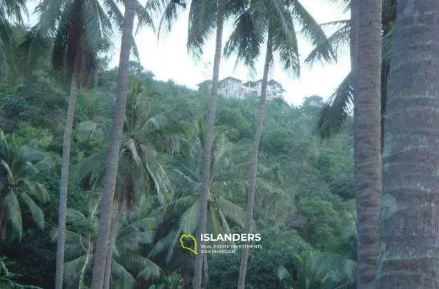 Grundstück mit Naturblick zum Verkauf in Mae Nam