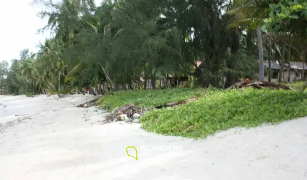 Lipa Noi Strandgrundstück zu verkaufen