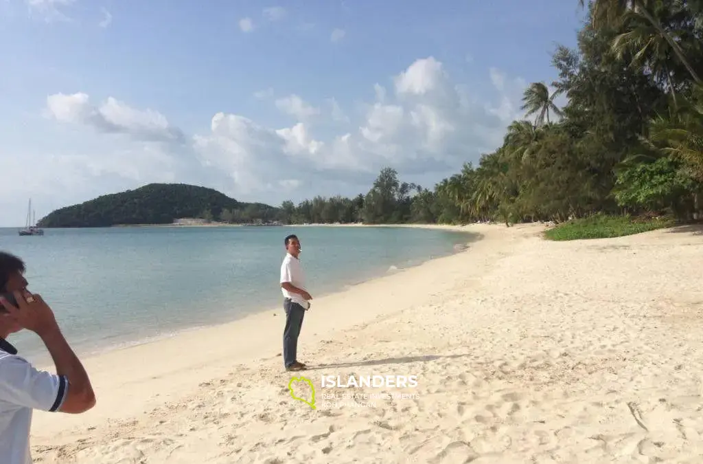 Lipa Noi Beach Land For Sale