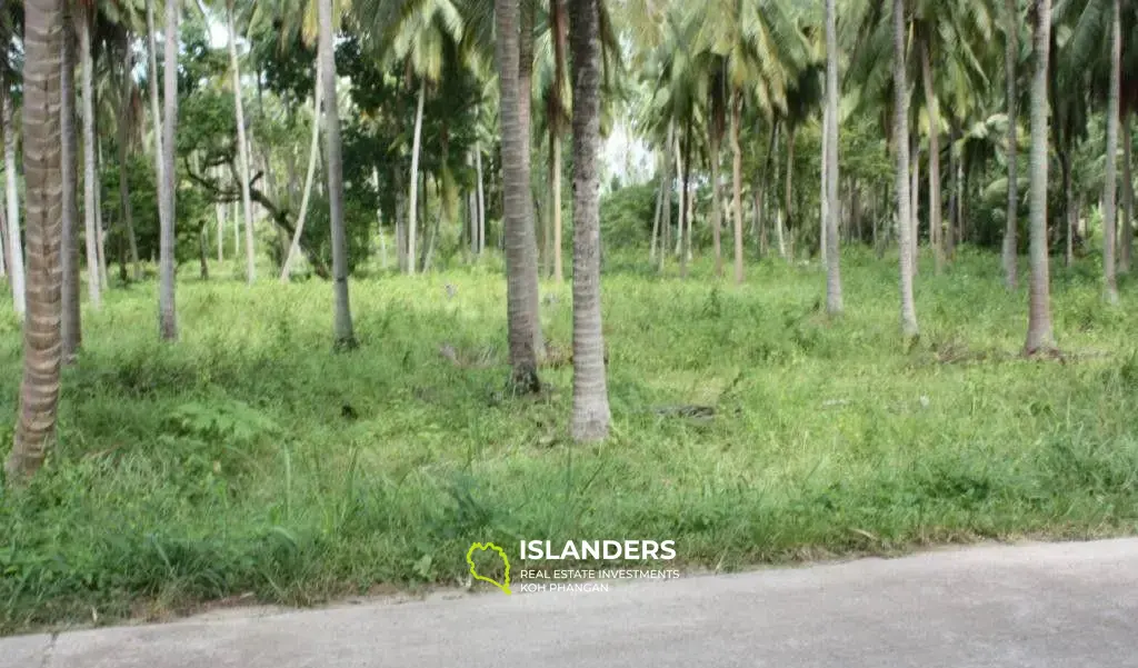 Lipa Noi Beach Land For Sale