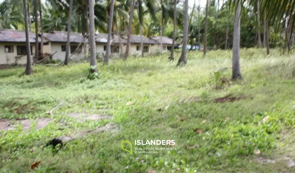 Lipa Noi Beach Land For Sale