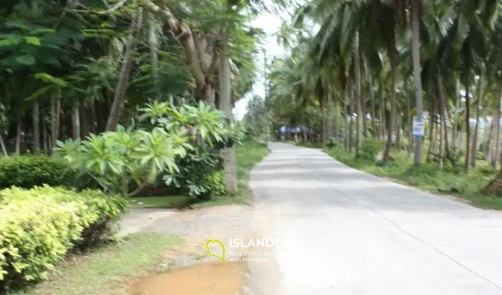 Lipa Noi Beach Land For Sale