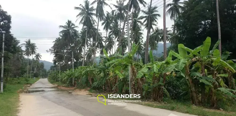 Land For Sale At Mae Nam Soi 1