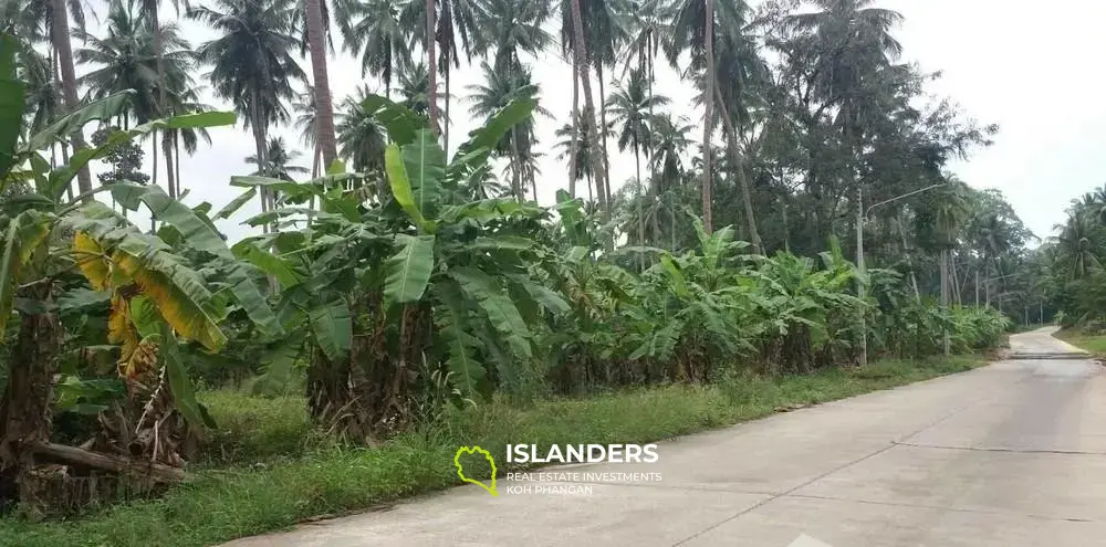 Grundstück zum Verkauf in Mae Nam Soi 1