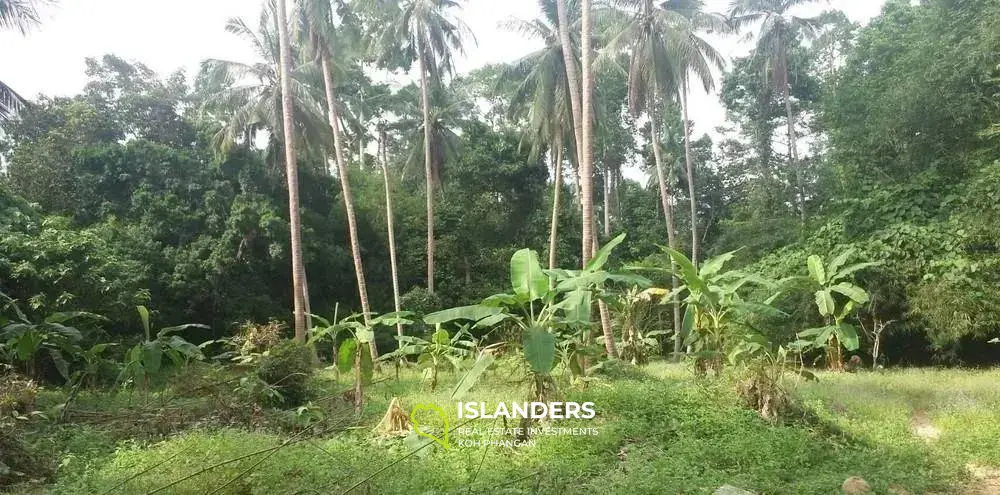 Land For Sale At Mae Nam Soi 1