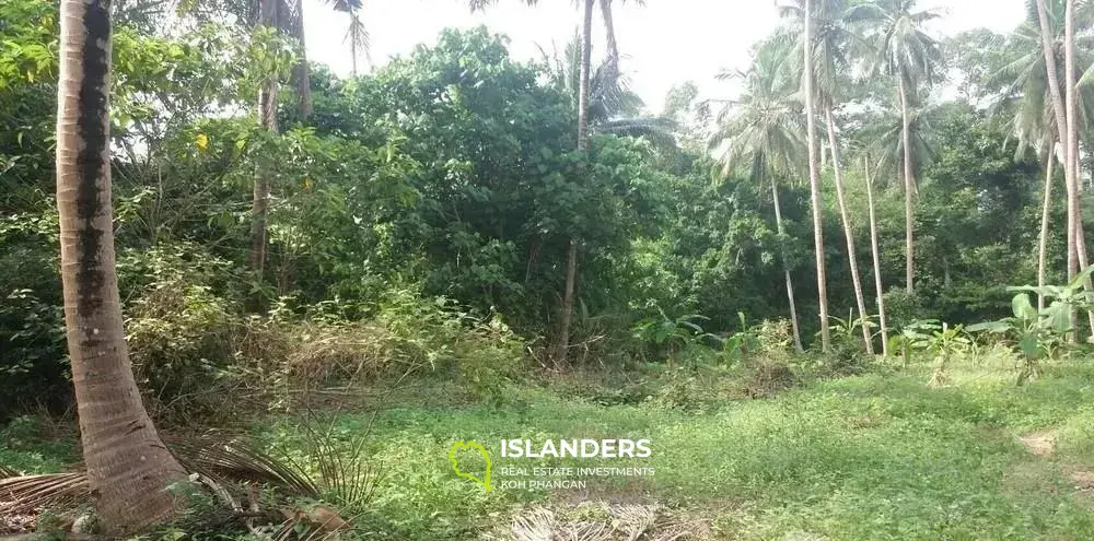 Grundstück zum Verkauf in Mae Nam Soi 1