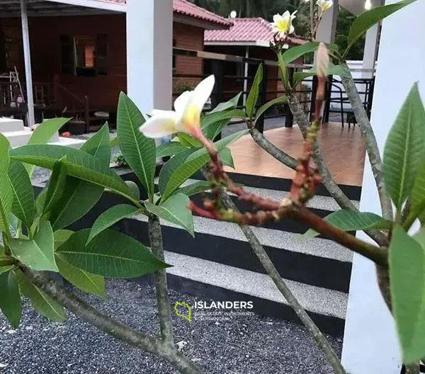 Maison avec piscine à vendre