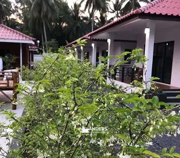 Maison avec piscine à vendre