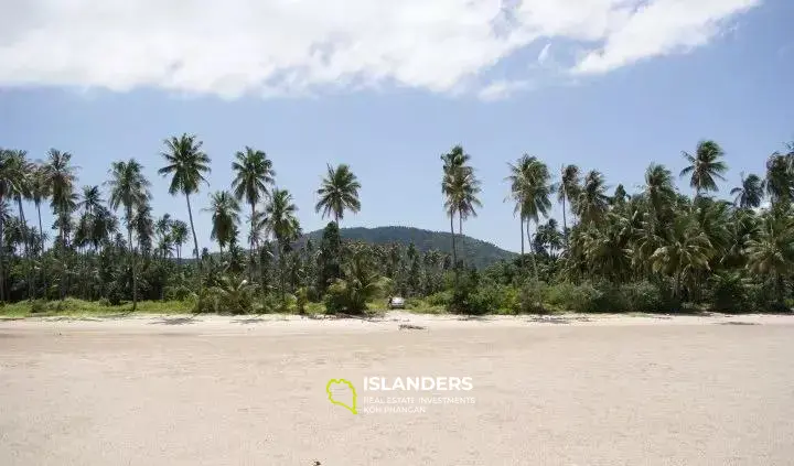 Terrain avec accès à la plage à vendre à Na Muang 5 Rai 352 Sqw