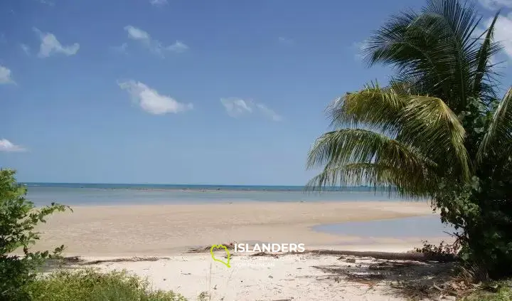 Strandzugangsgrundstück zum Verkauf in Na Muang 5 Rai 352 qm