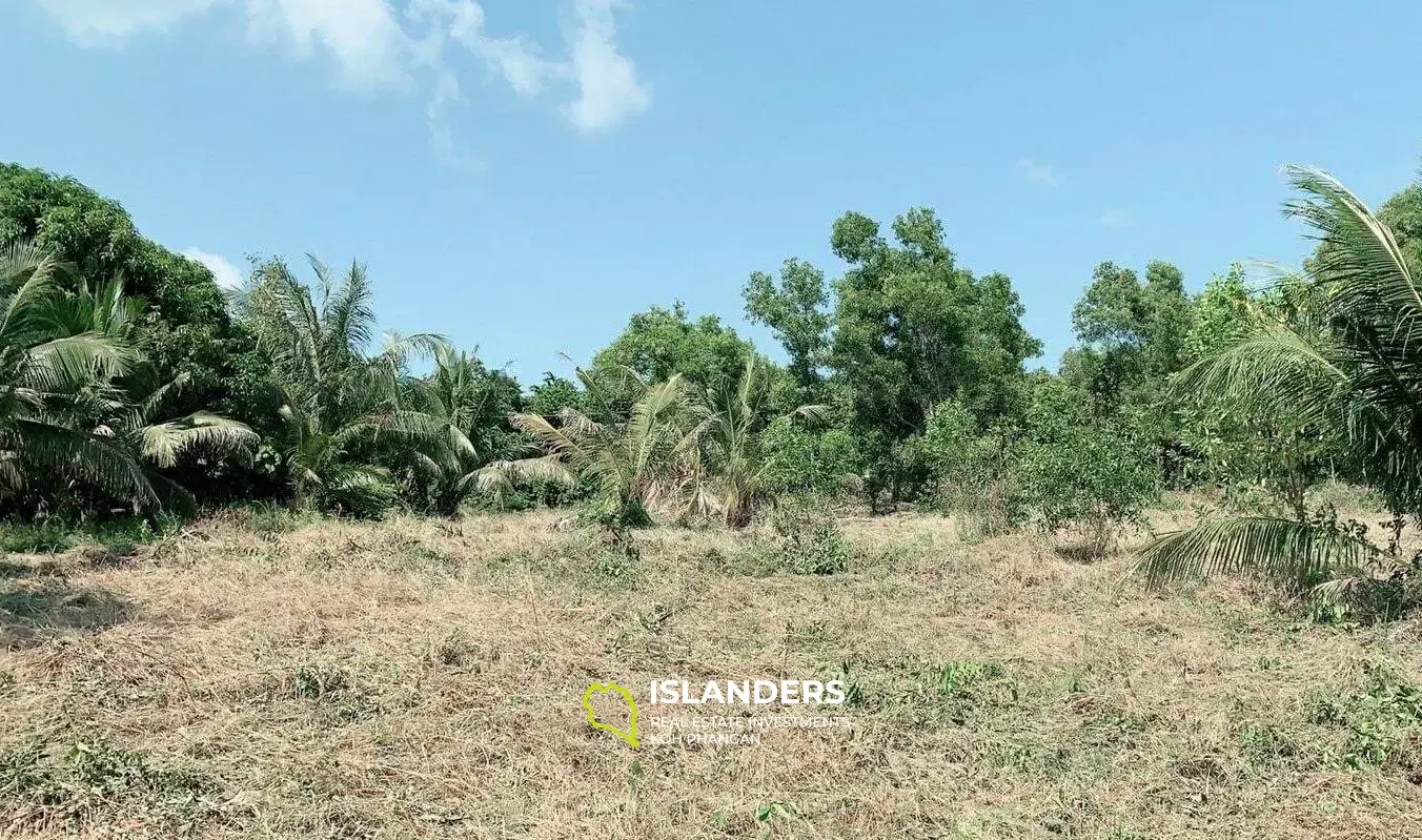 Terrain à vendre sur Koh Samui 4 Rai proche de la plage de Chaweng