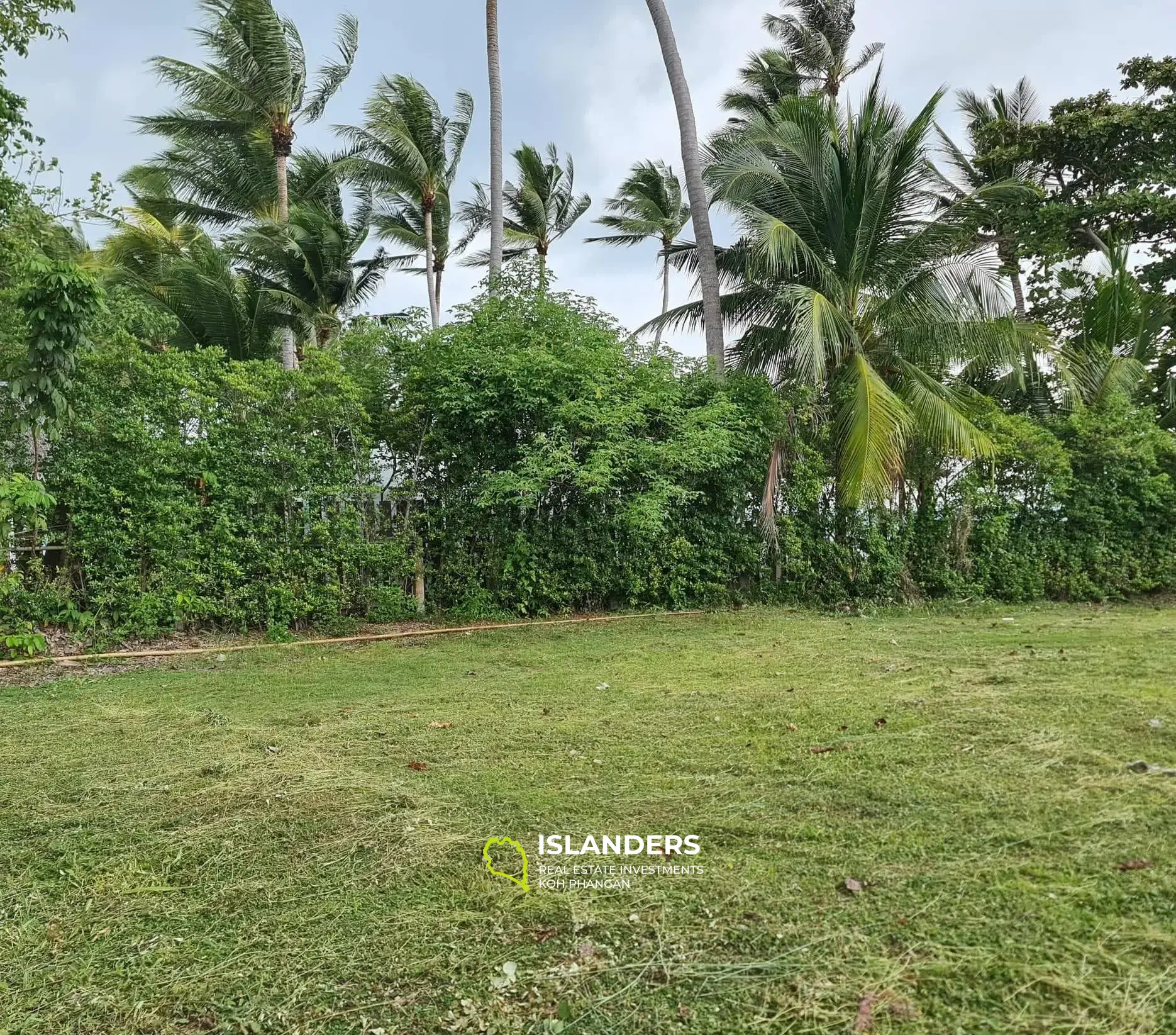 Land on the Beach Front Koh Samui 1 Rai 