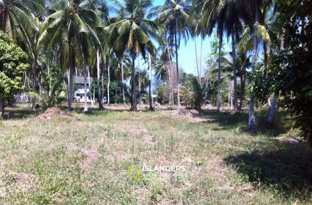 Affordable Land in Baan Phangka