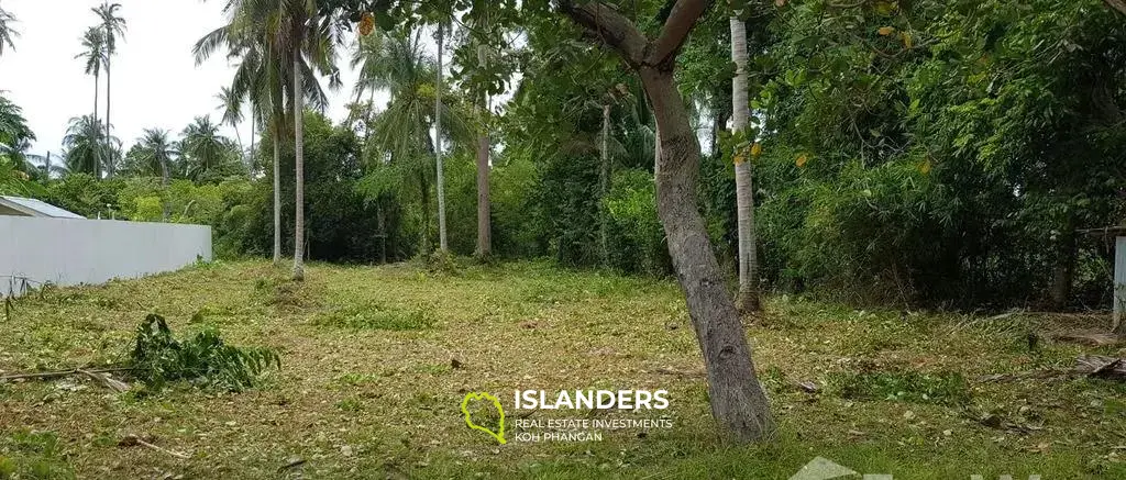 1 RAI Land Plot For Sale In Laem Sor