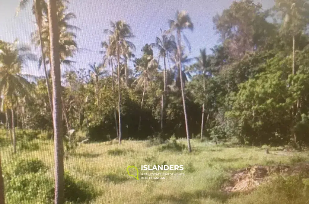 1 RAI Land Plot For Sale In Laem Sor