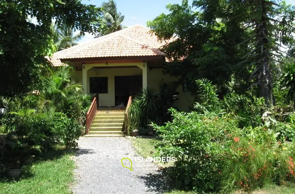 Three House In 3 Rai 3 Ngan Land for Sale In Lipa Noi