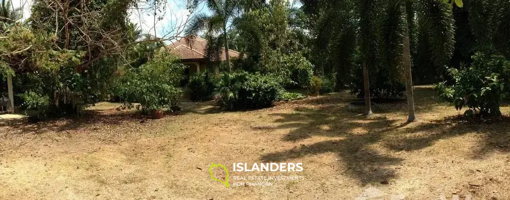 Three House In 3 Rai 3 Ngan Land for Sale In Lipa Noi