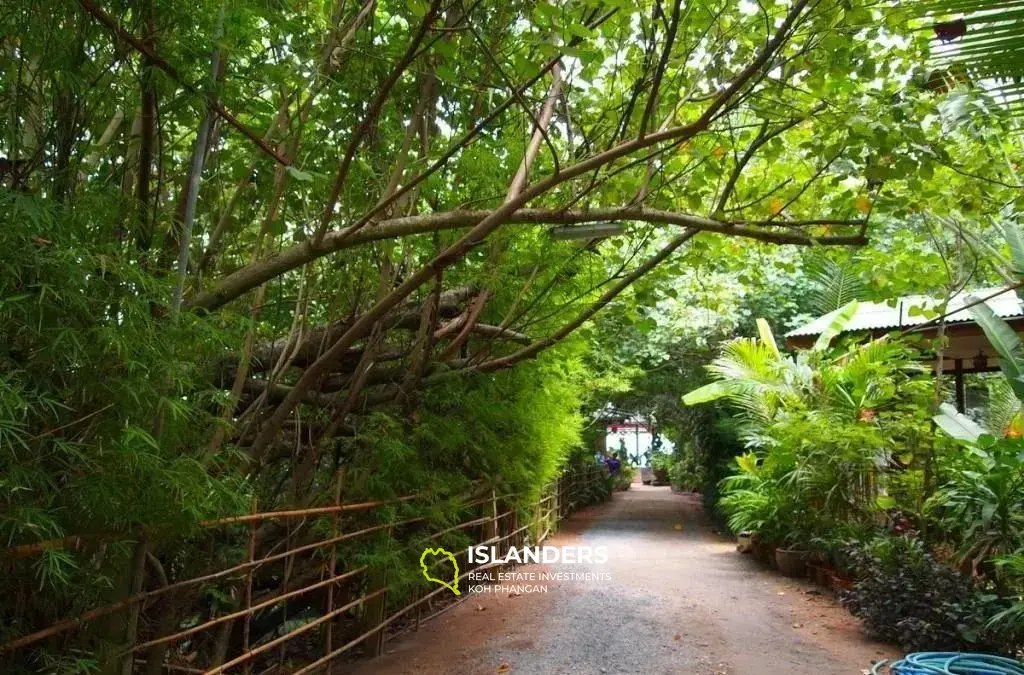 Beach Land 6 Rai With House For Sale In Mae Nam 