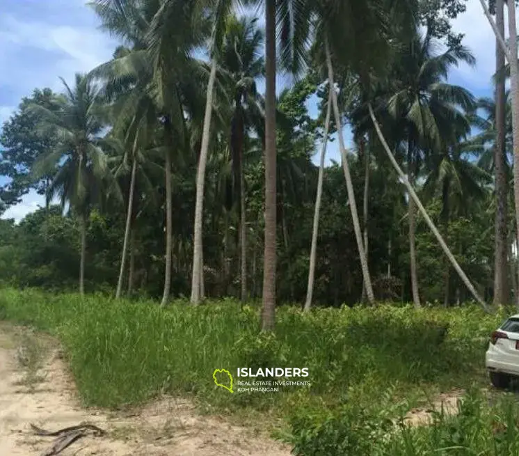 Lipa Noi Land For Sale