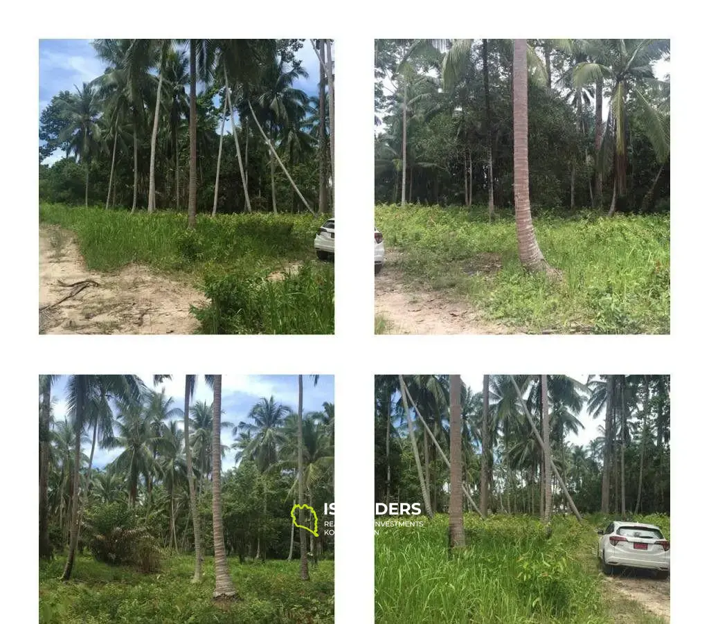 Lipa Noi Land For Sale