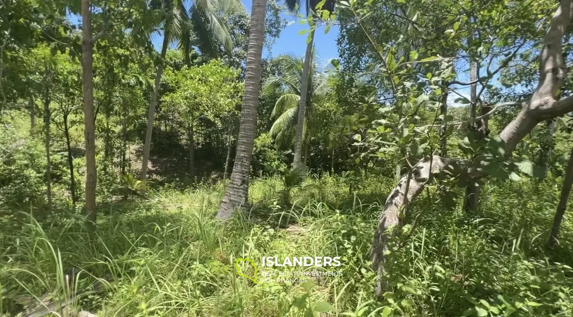 Opportunité exquise à Madua Wan : parcelle de 8,5 Rai pour le projet de villa avec vue sur la mer