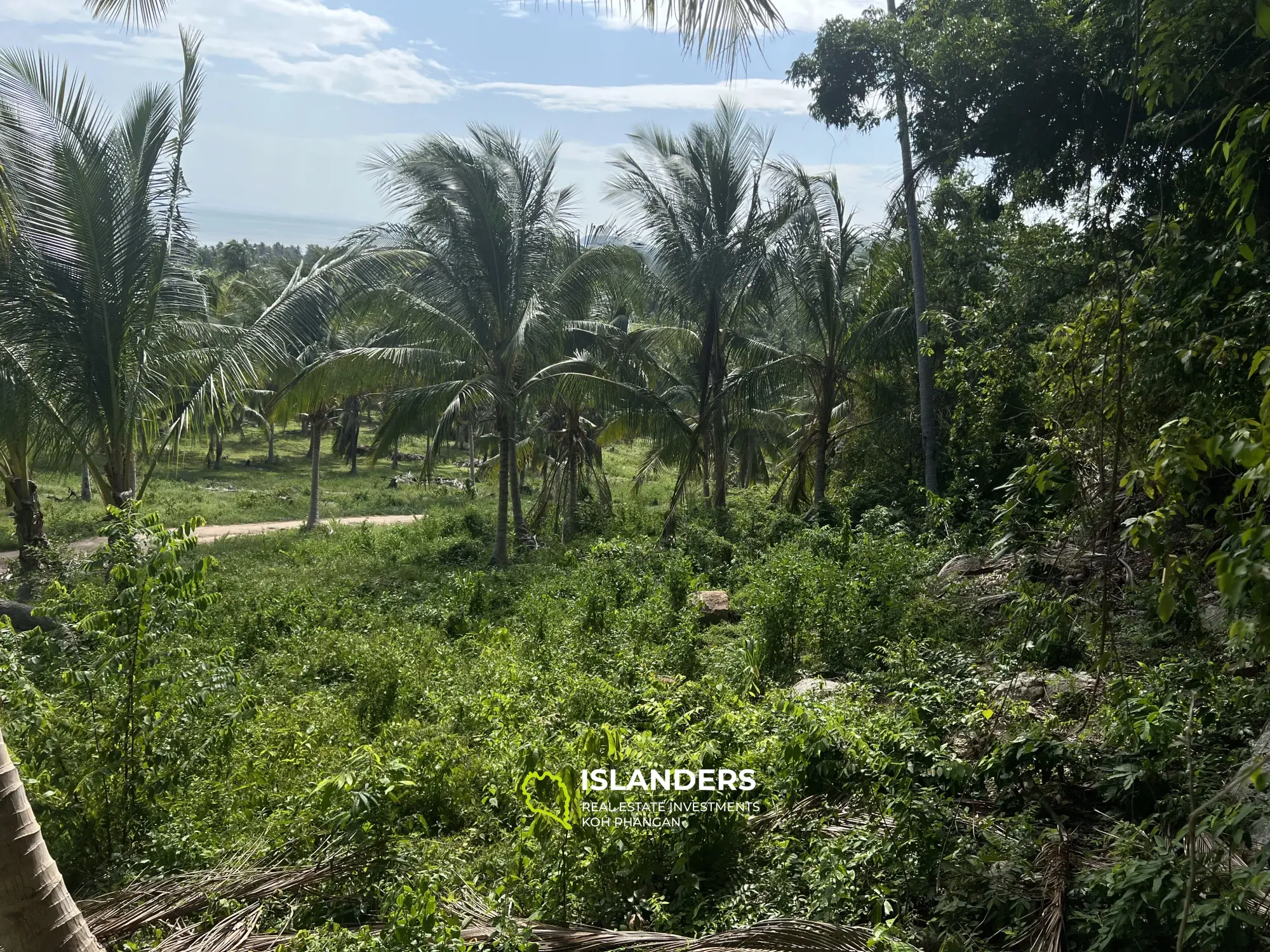 พัสดุวิวทะเลอันทรงเกียรติในย่านบ้านค่าย