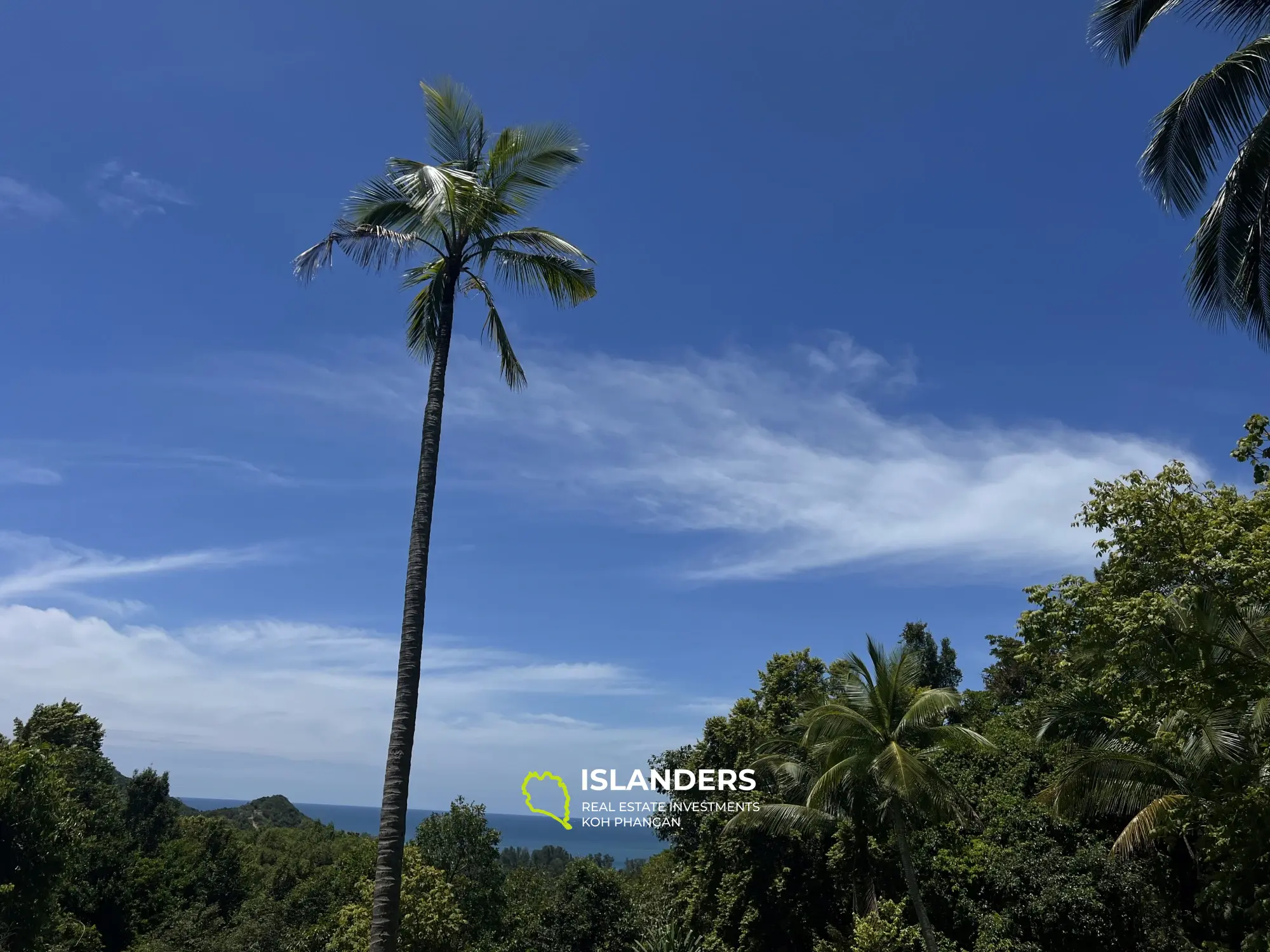 Ideales Land für Ihr Projekt. 48 Rai Land, Meerblick. Verkauf als Ganzes. Blühendes Chaloklum-Gebiet.