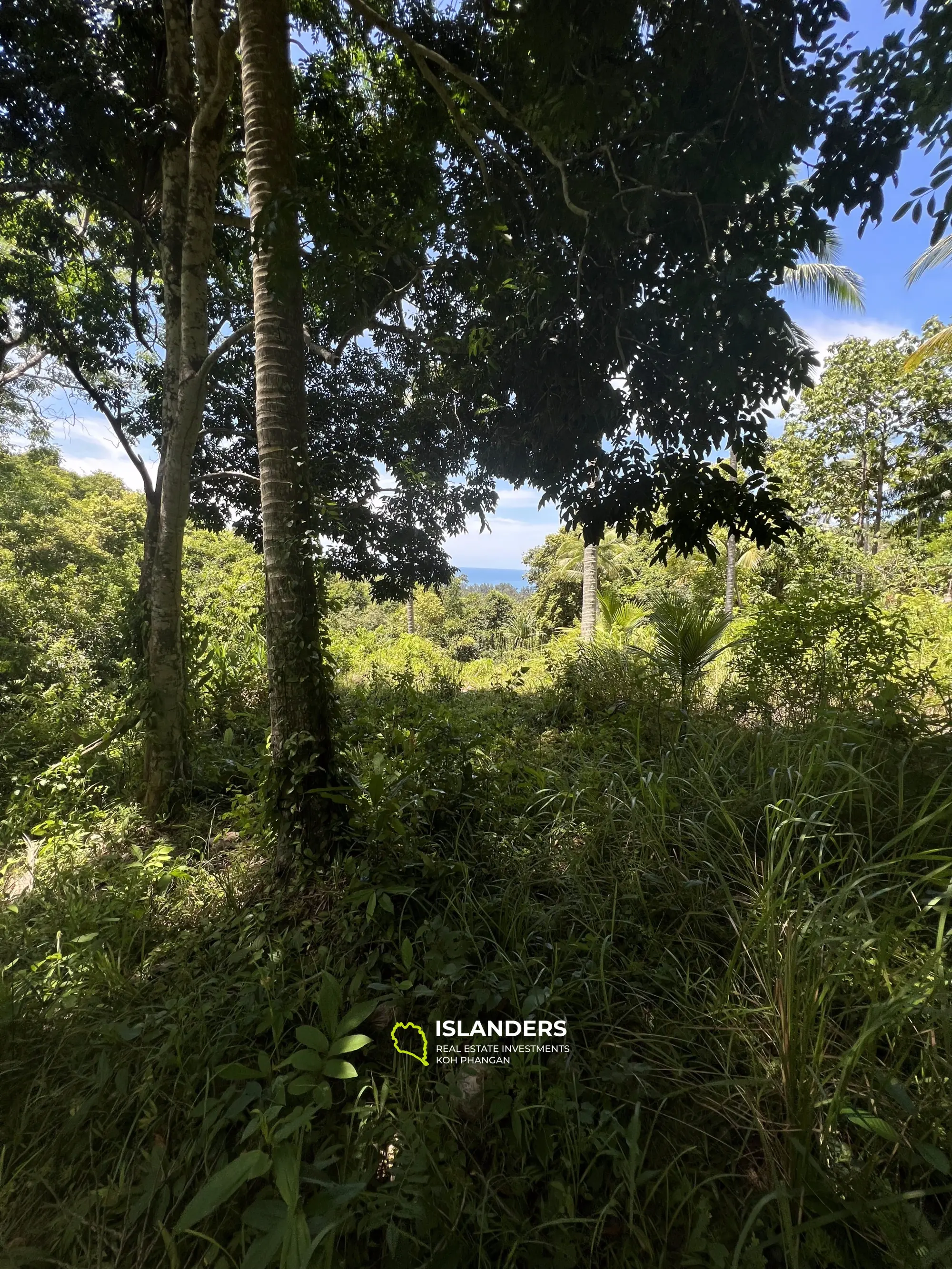 Ideales Land für Ihr Projekt. 48 Rai Land, Meerblick. Verkauf als Ganzes. Blühendes Chaloklum-Gebiet.