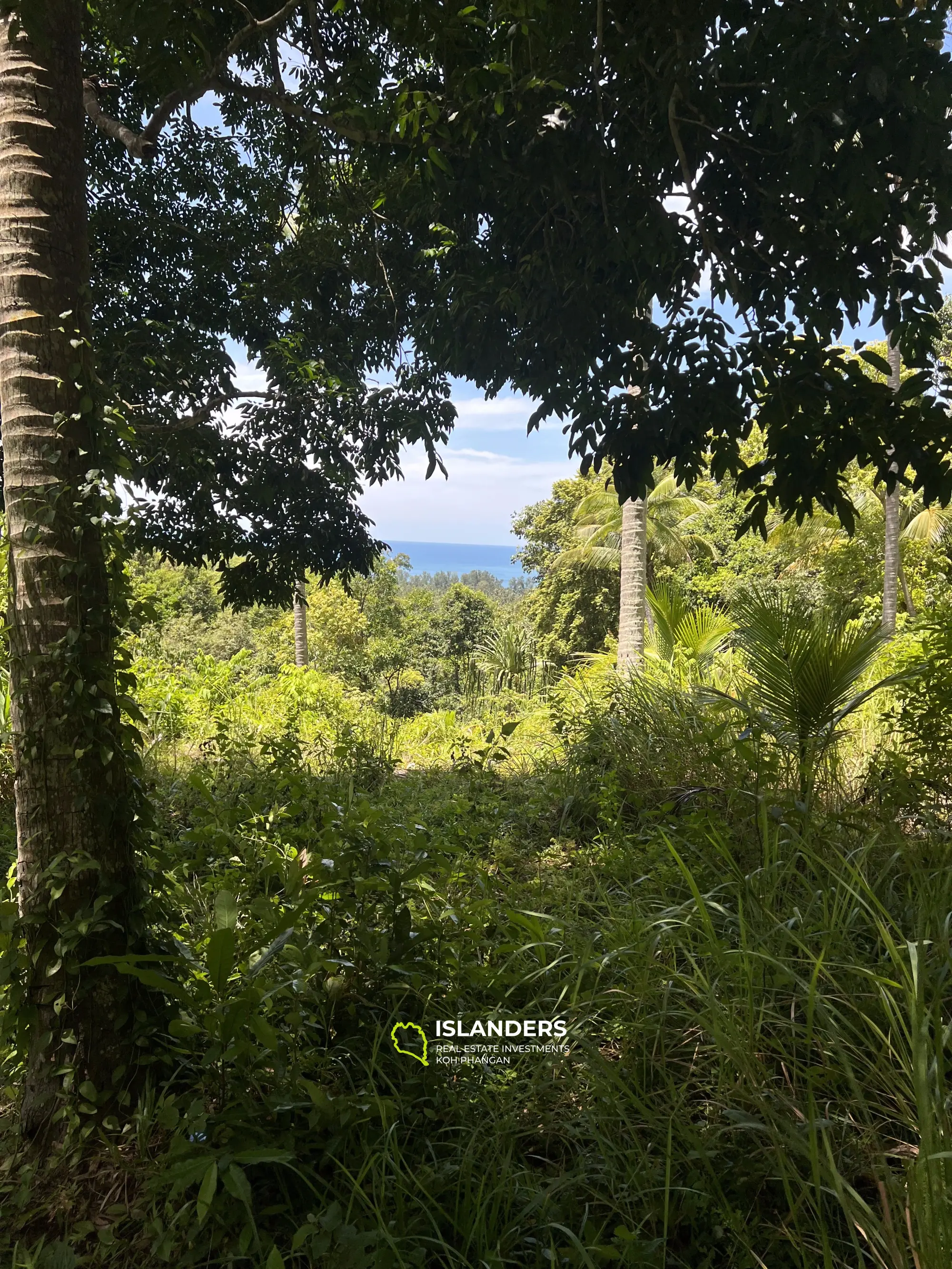 Ideales Land für Ihr Projekt. 48 Rai Land, Meerblick. Verkauf als Ganzes. Blühendes Chaloklum-Gebiet.