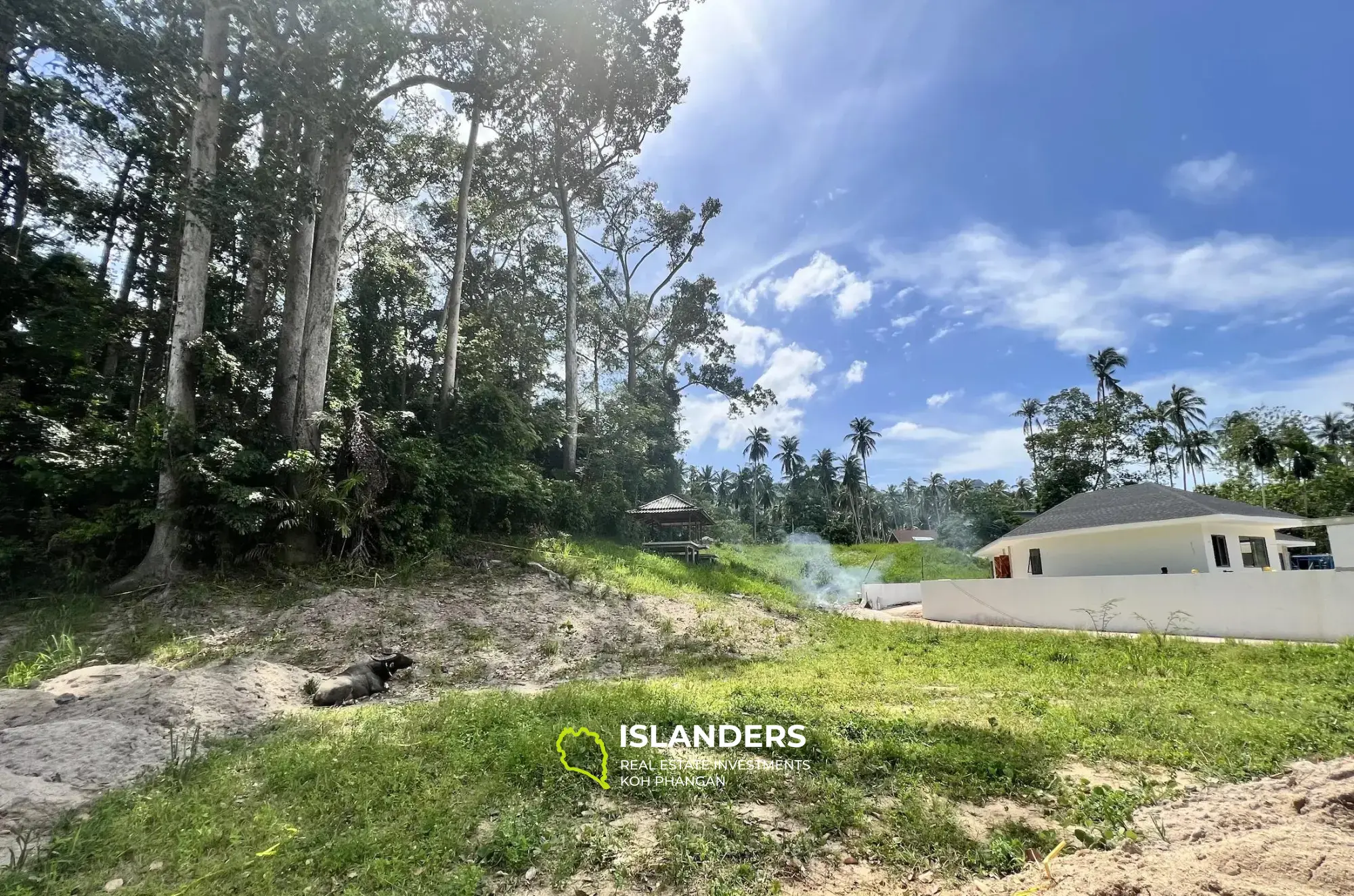 730 Sq.m Magic Trees Land for Sale in Lamai