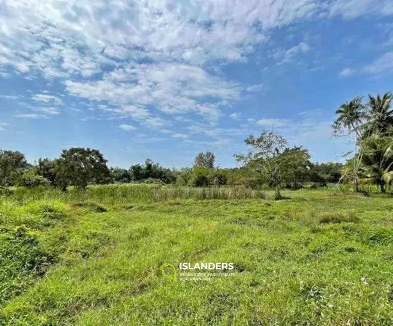 Great Deal of Land for Sale in Lipanoi