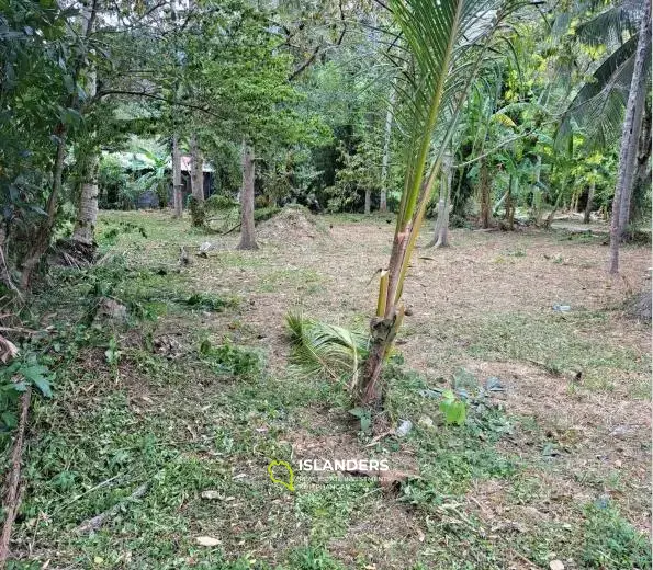 3.224 m² flaches Grundstück in Lamai zu verkaufen