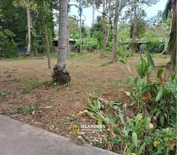 3,224 SQM Flat Land in Lamai for Sale