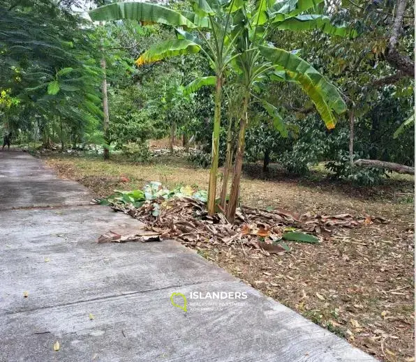 3,224 SQM Flat Land in Lamai for Sale