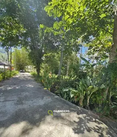 3,224 SQM Flat Land in Lamai for Sale