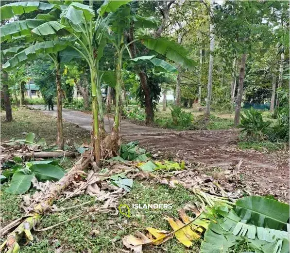 3,224 SQM Flat Land in Lamai for Sale