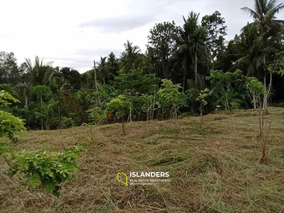 À vendre : Terrain à Maduawan, Panghan