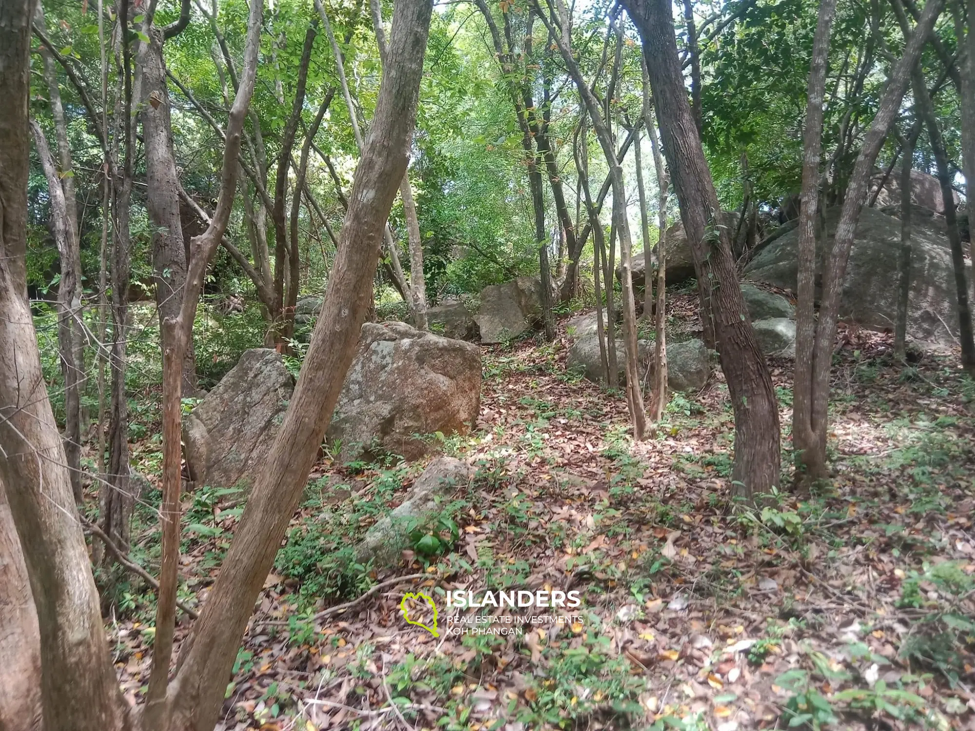 ที่ดินวิวทะเล- บ้านใจดี เกาะพะงัน