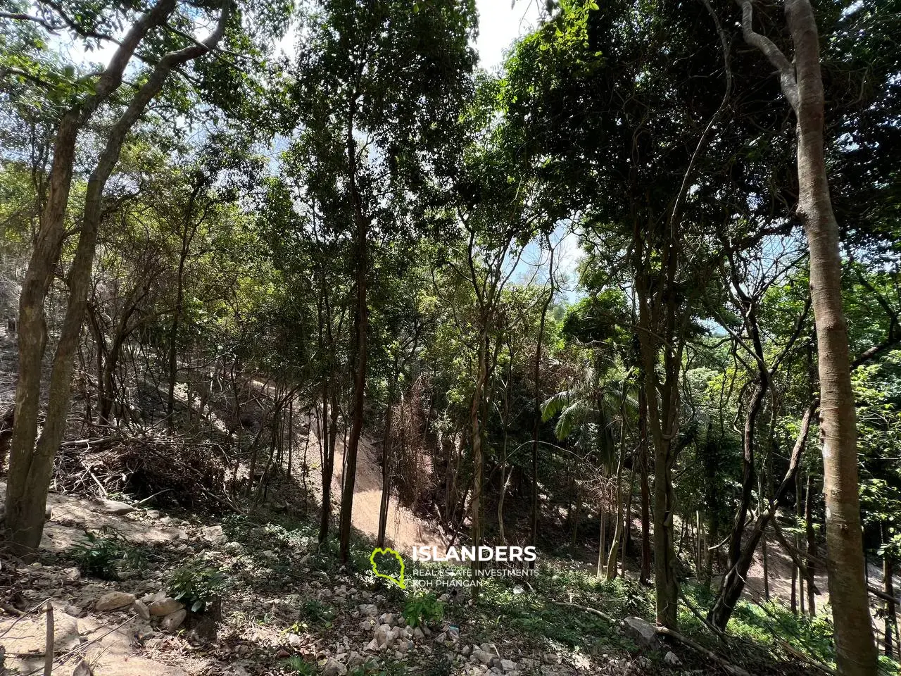 Stunning Land Near Retro Mountain: 9.33 Rai with Sea Views and Below Market Price!